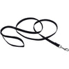 Coastal Soy Leash Coastal Soy Leash