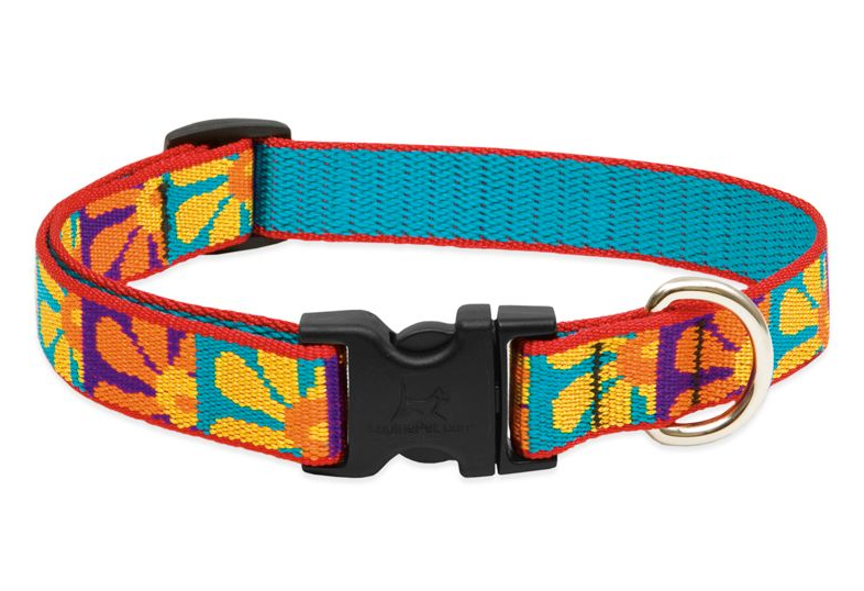 Lupine Original Collars
