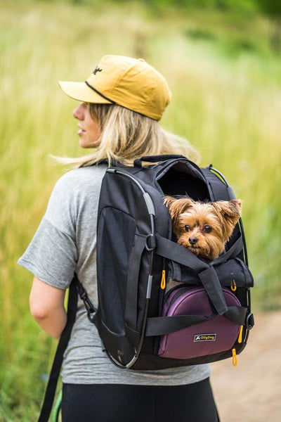 Olly Dog Meridian Dog Carrier  Dahlia Olly Dog Meridian Dog Carrier  Dahlia