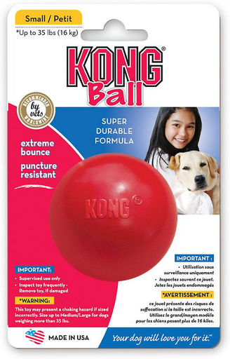 Kong Ball Healthy Pet Austin