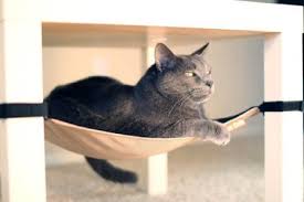 The Cat Crib The Cat Crib