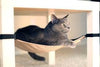 The Cat Crib The Cat Crib