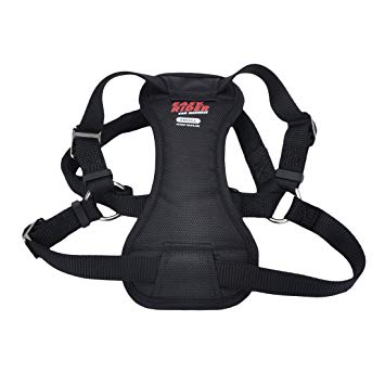 Coastal Easy Rider Car Harness Black