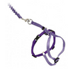 Come With Me Kitty Harness Come With Me Kitty Harness
