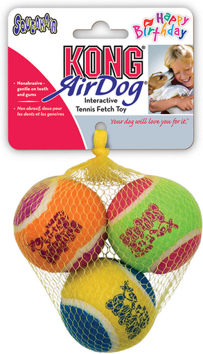 Kong tennis ball shop