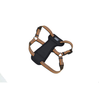 Coastal K9 Explorer Padded Harness Coastal K9 Explorer Padded Harness