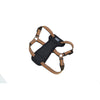 Coastal K9 Explorer Padded Harness Coastal K9 Explorer Padded Harness