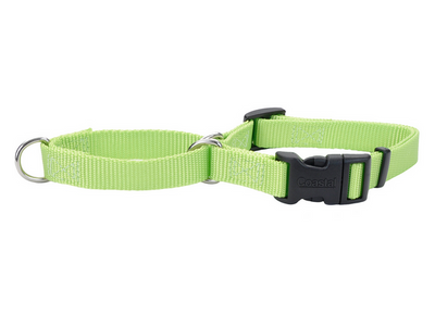 Coastal No-Slip Martingale Collar with Buckle Coastal No-Slip Martingale Collar with Buckle