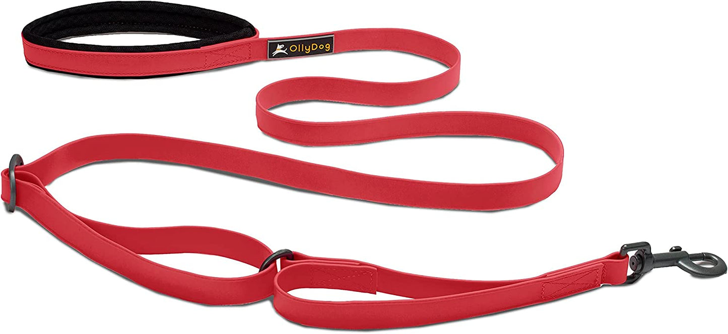 OllyDog Tilden Adjustable Waterproof Leash