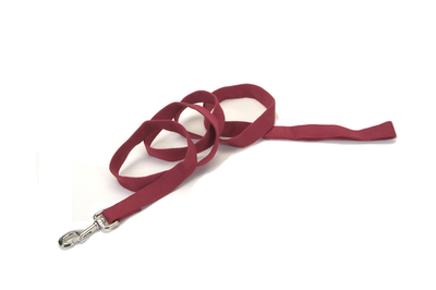 Coastal Soy Leash Coastal Soy Leash