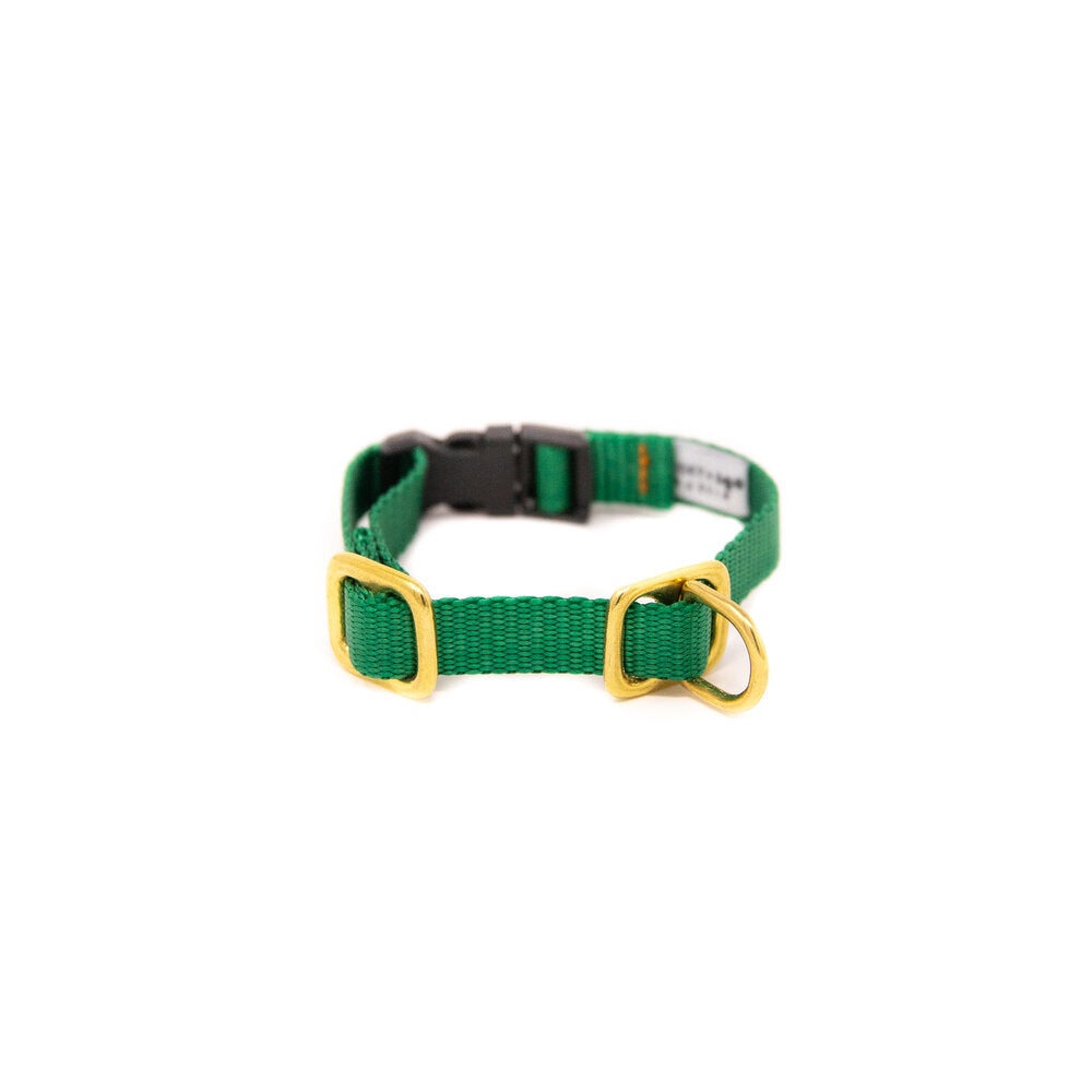 Lucky + Dog Austin Puppy Collar