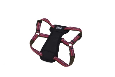 Coastal K9 Explorer Padded Harness
