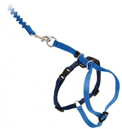 Come With Me Kitty Harness Come With Me Kitty Harness