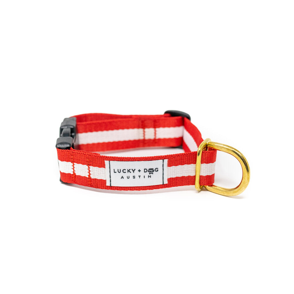 Lucky + Dog Austin Every Day Collar