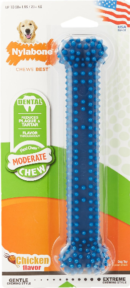 Nylabone Dental Chew Bone