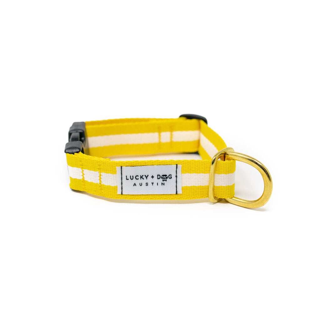 Lucky + Dog Austin Every Day Collar