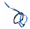 Come With Me Kitty Harness Come With Me Kitty Harness