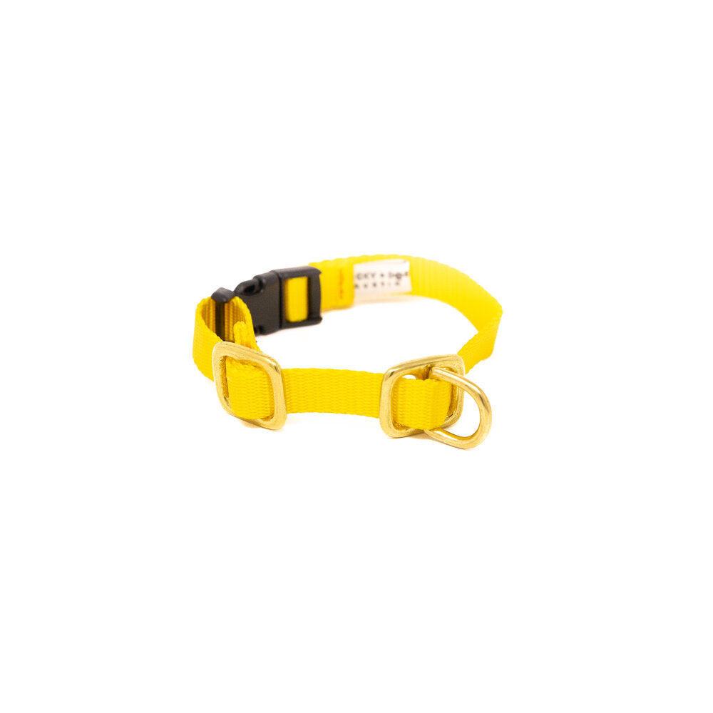 Lucky + Dog Austin Puppy Collar
