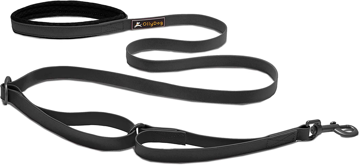 OllyDog Tilden Adjustable Waterproof Leash