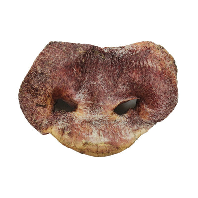 Vital Essentials Freeze Dried Pig Snout Vital Essentials Freeze Dried Pig Snout