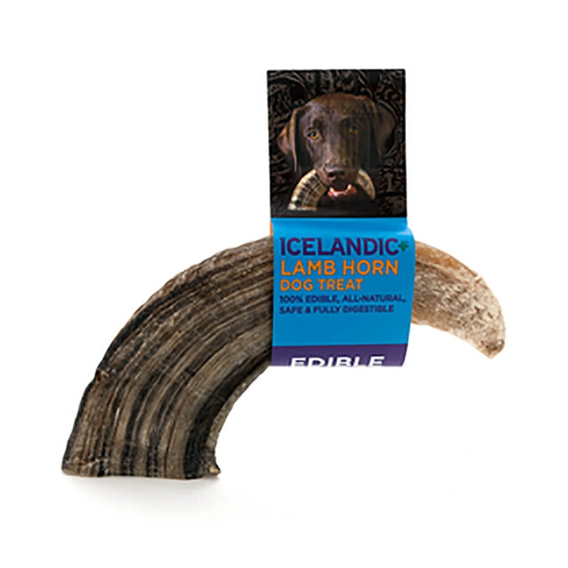 Icelandic Lamb Horns – Healthy Pet Austin