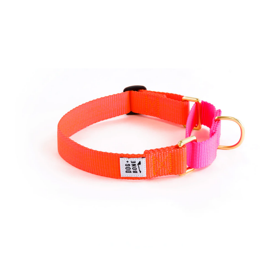 Dog + Bone Martingale Collar
