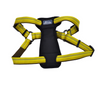Coastal K9 Explorer Padded Harness Coastal K9 Explorer Padded Harness