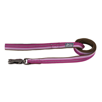Coastal K9 Explorer Reflective Dog Leash Coastal K9 Explorer Reflective Dog Leash