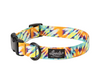 Leeds Dog Supply Collar Leeds Dog Supply Collar