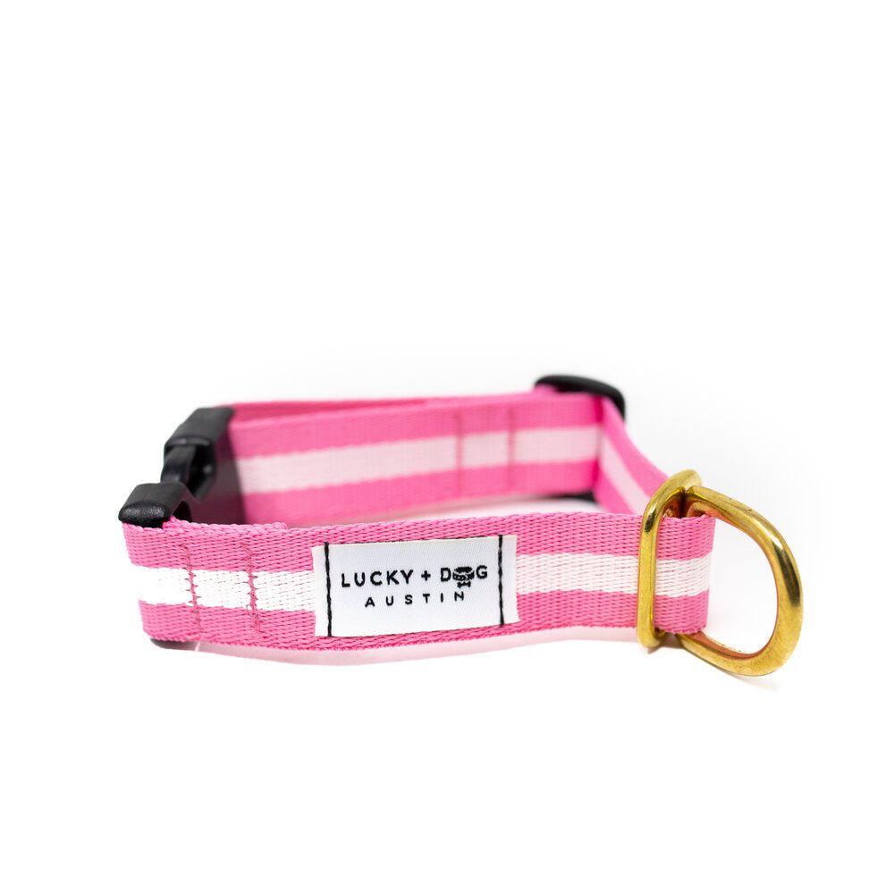 Lucky + Dog Austin Every Day Collar