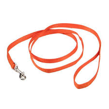 Coastal Single-Ply Nylon Leash