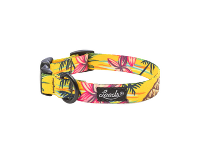 Leeds Dog Supply Collar Leeds Dog Supply Collar