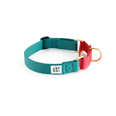 Dog + Bone Martingale Collar Dog + Bone Martingale Collar