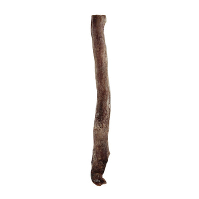 Vital Essentials Freeze Dried Bully Stick Vital Essentials Freeze Dried Bully Stick