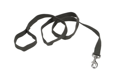 Coastal Soy Leash