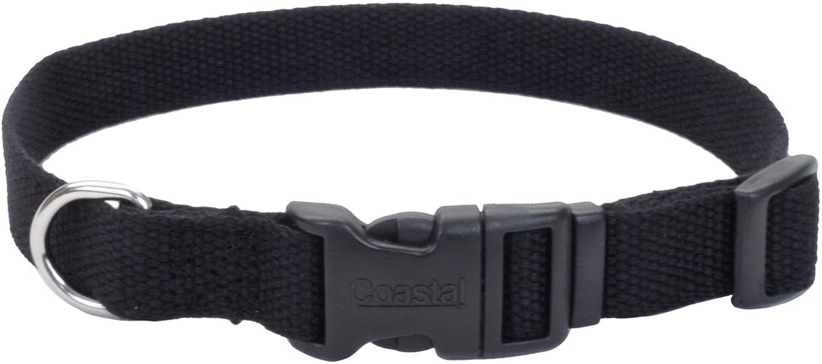 Coastal Soy Dog Collar