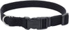 Coastal Soy Dog Collar Coastal Soy Dog Collar