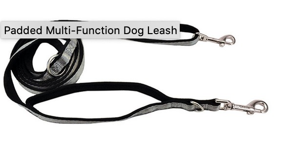 Coastal Padded Multi-Function Leash Silver 6'