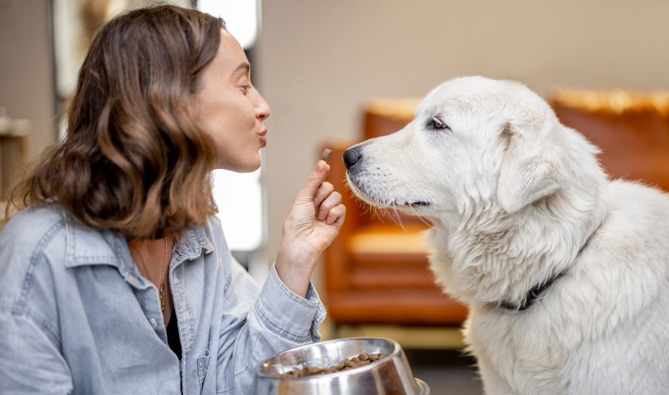 The Best Vet Recommended Dog Food for a Healthy Diet – Healthy Pet Austin