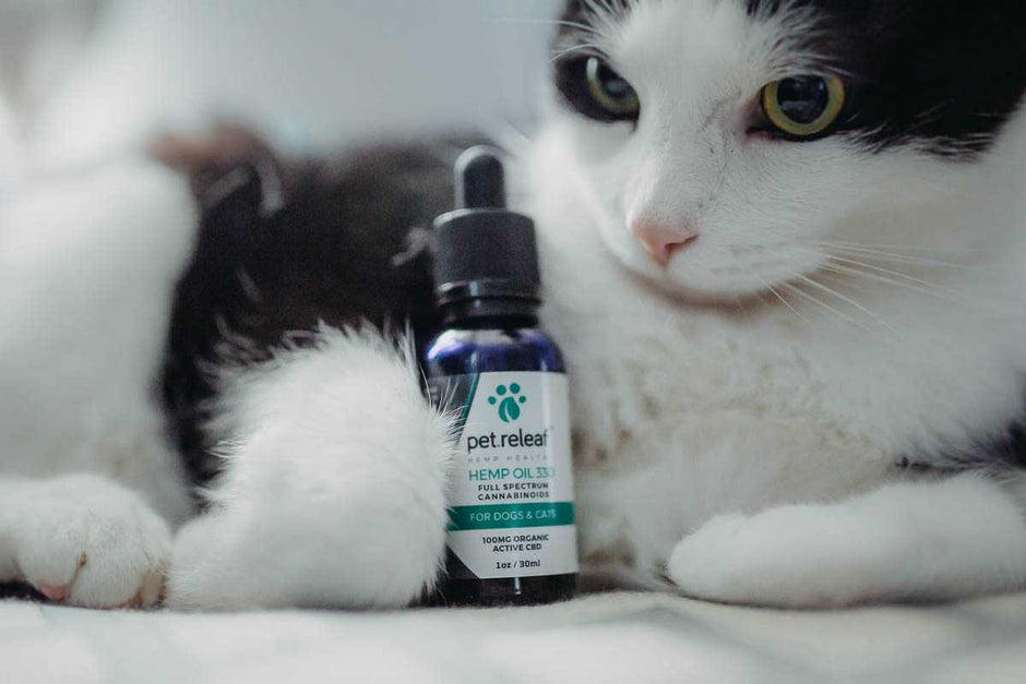 Company Spotlight: Pet Releaf