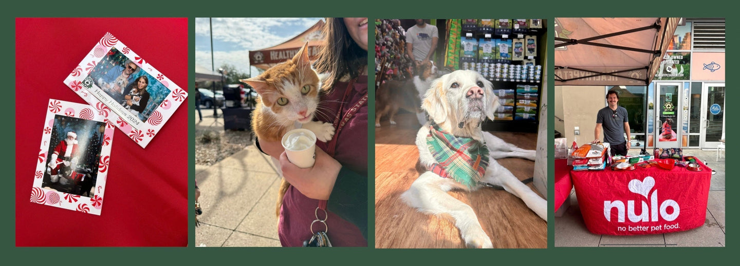 Photos with Santa at Healthy Pet Seaholm
