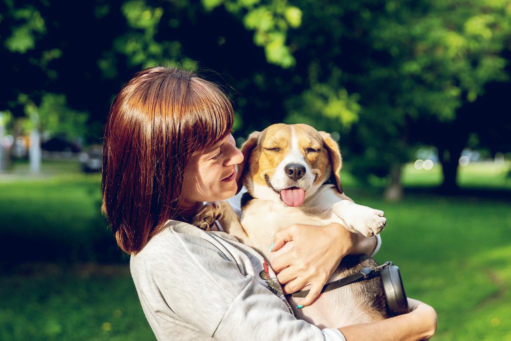Tips for Avoiding Bad Dog Breath