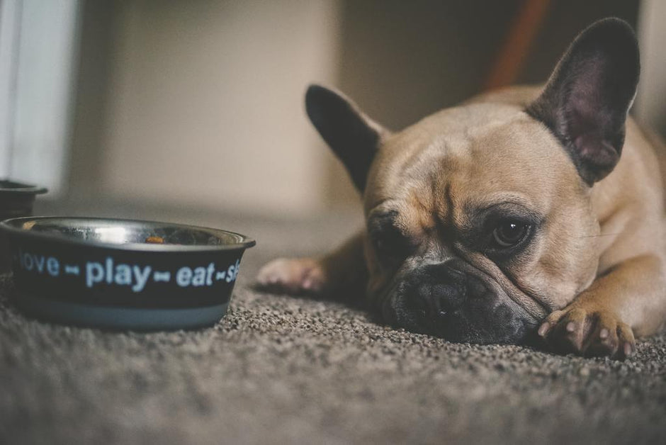 Dealing With a Picky Eater