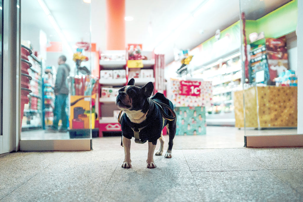 Austin’s Top Dog-Friendly Malls