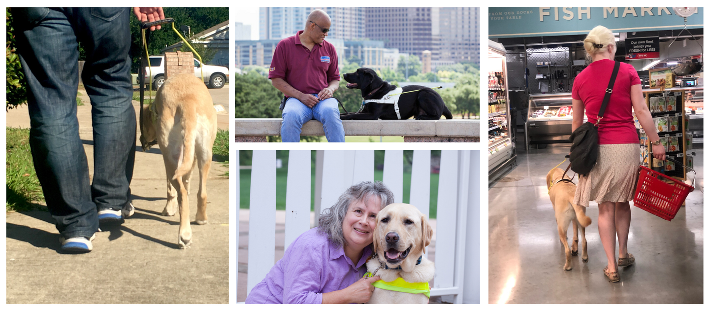 Guide Dogs of Texas Virtual Donation Drive