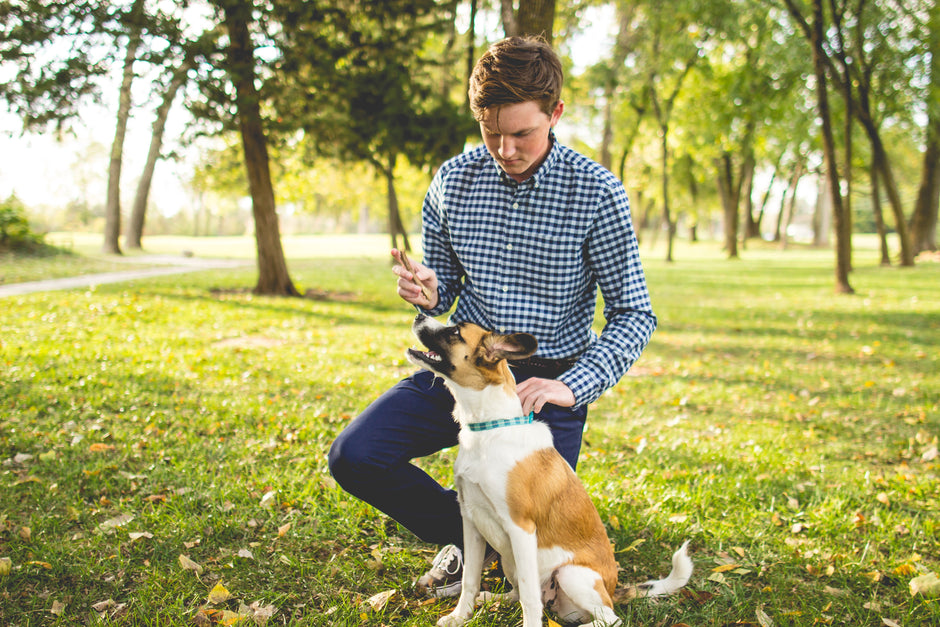 Celebrating Earth Day: Ideas for Getting Outdoors