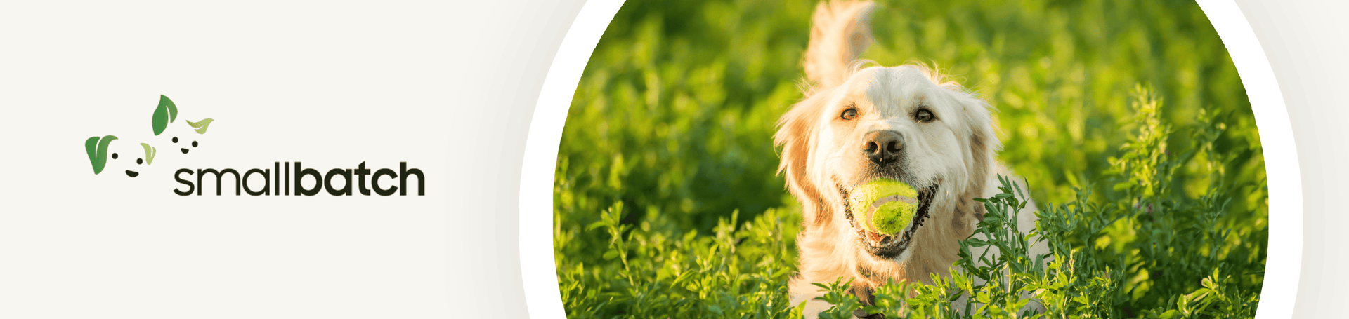 Small Batch (March Sale)