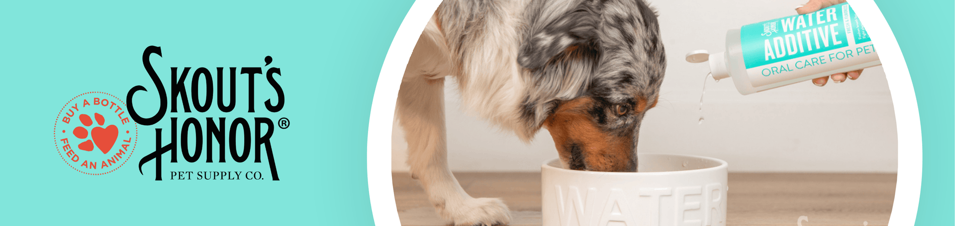 Skout’s Honor (November Sale