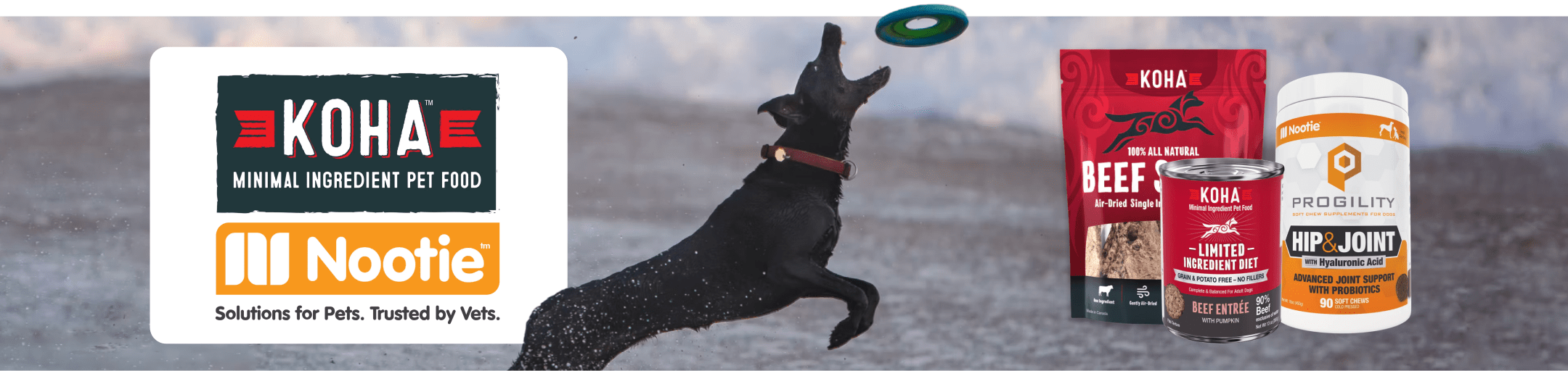 Koha and Nootie (April Sale) Healthy Pet Austin