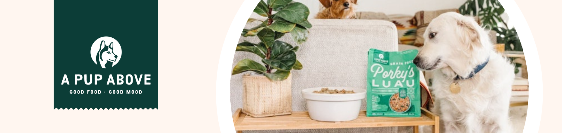 A Pup Above (March Sale)